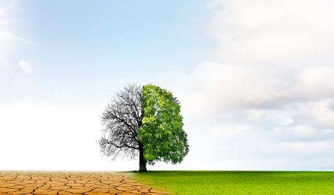 climat