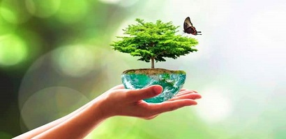 biodiversitéweb