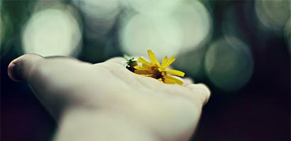 hand fleur
