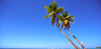 paradis fiscal
