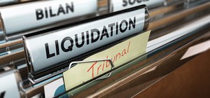 Entreprises en difficulté - Restructuring